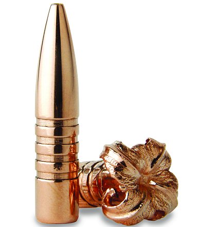 Hunting With 5.56