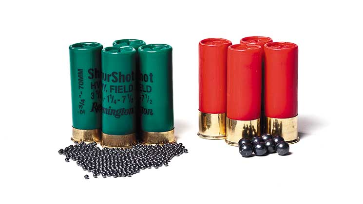 Differences Between Birdshot and Buckshot